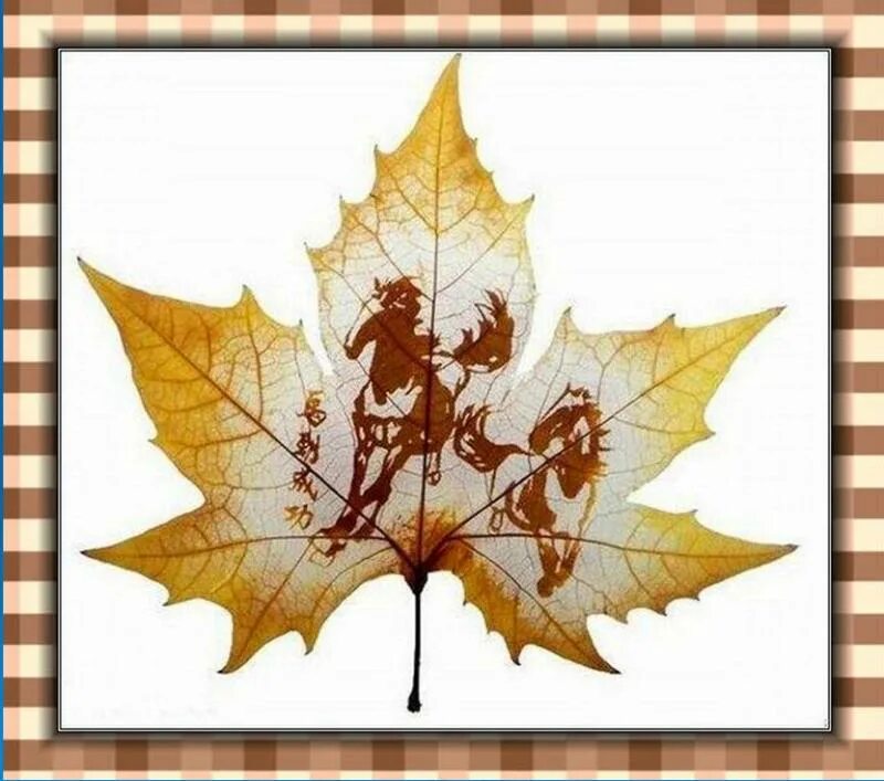 Вырезаем из листьев. Канат нуртазин художник. Вырезаем из листьев. Панно из кленовых листьев. Узоры на листьях деревьев.