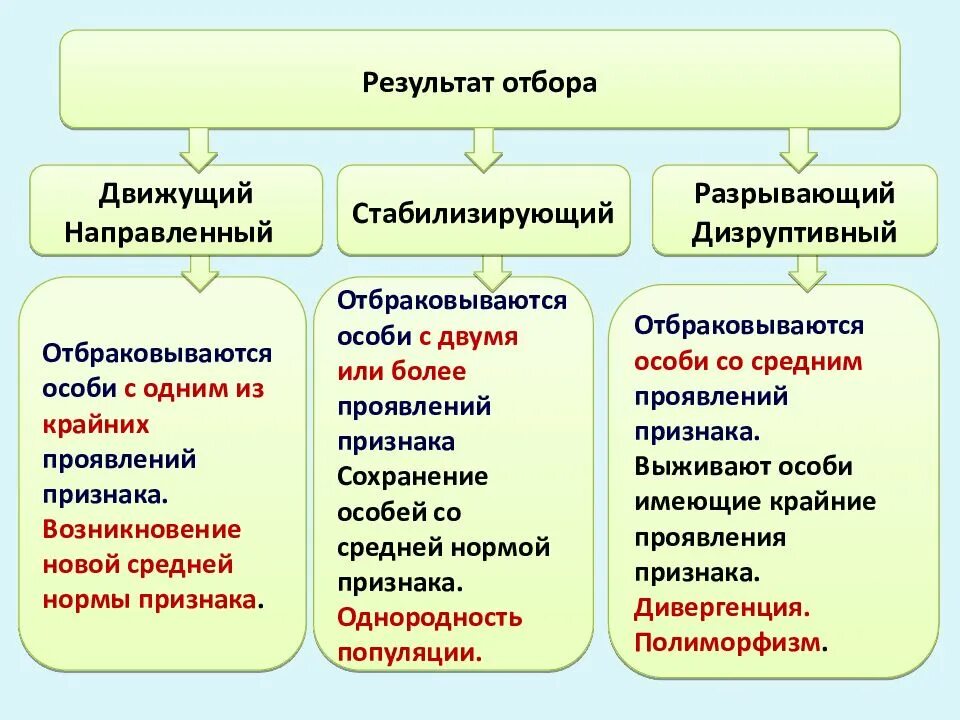 Естественный отбор таблица по биологии. Схема классификации естественного отбора. Движущая стабилизирующая и дизруптивная форма естественного отбора. Факторы естественного отбора ЕГЭ биология. Формы естественного отбора таблица ЕГЭ.