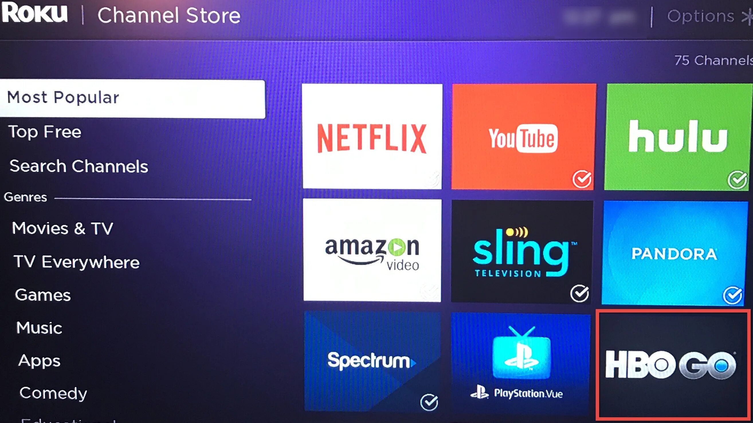 Channel store. Channel options. tvg roku channel store. gadgets 2025.