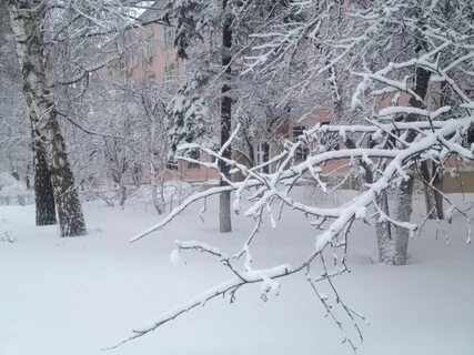 Погода в башкирии на декабрь