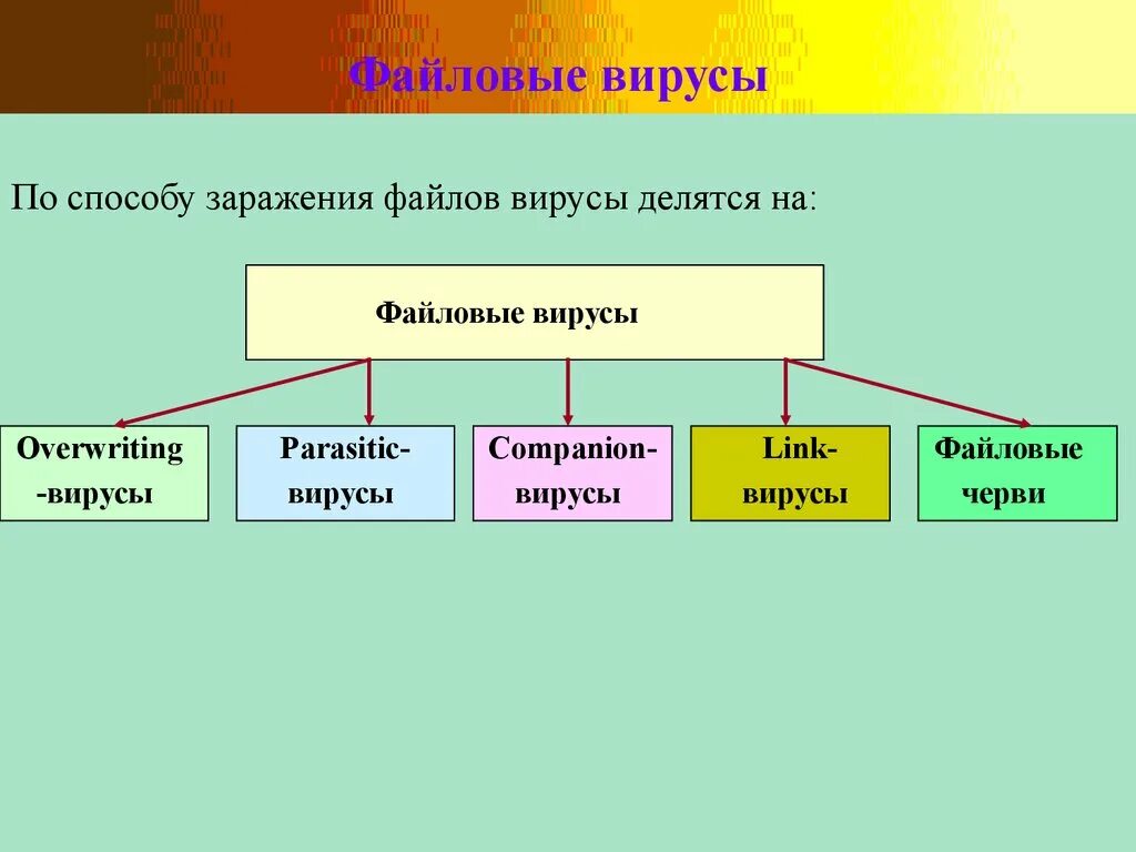 Компьютерные вирусы - презентация онлайн