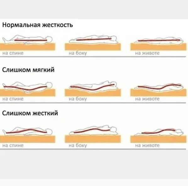 До скольки можно спать на животе. Правильный матрас. Правильный ортопедический матрас. Правильный матрас для позвоночника. Спать на жестком или мягком.