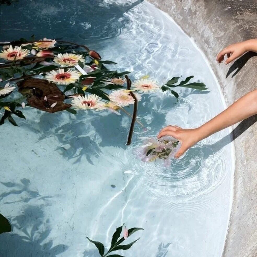 Эстетика цветов в воде. Летние воды Эстетика. Alice Blue Эстетика. Эстетика 2020.