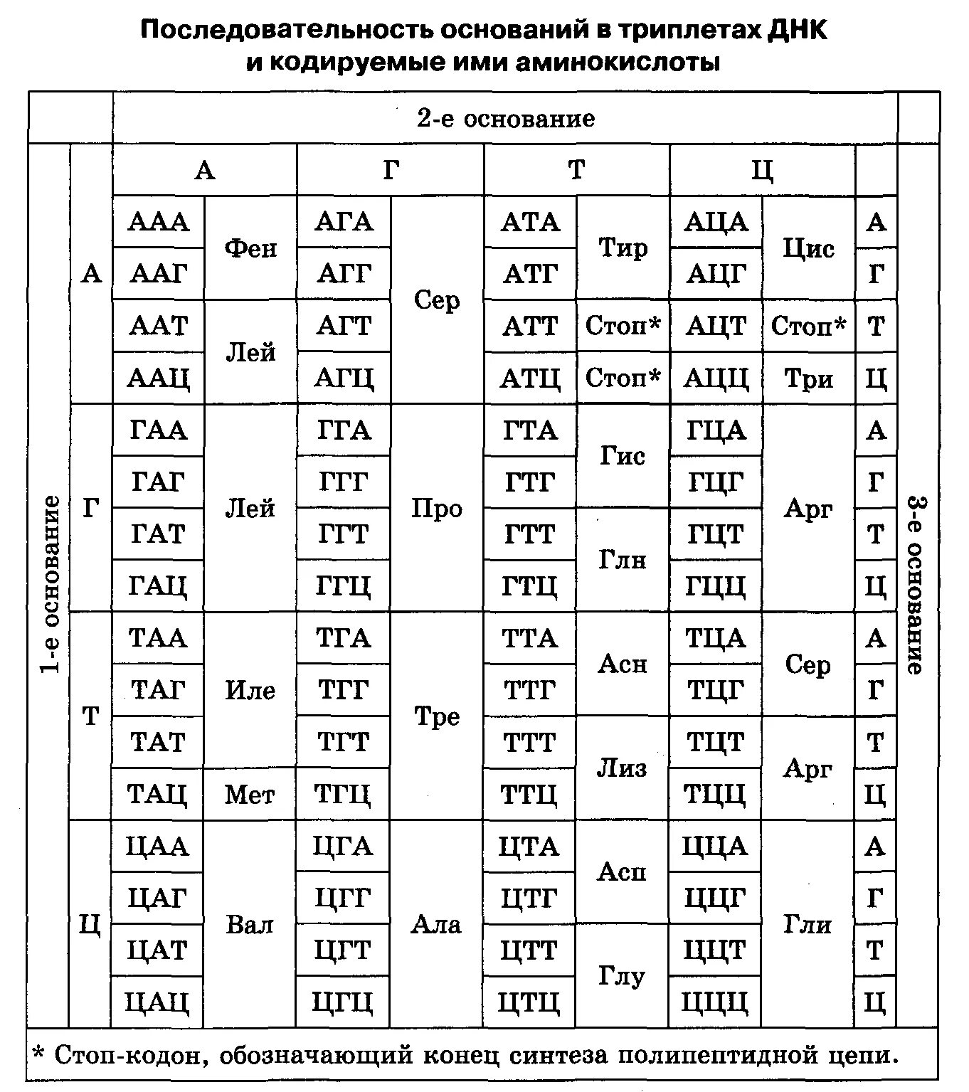 Триплеты ДНК таблица. Определите последовательность аминокислот в полипептиде. Таблица генетического кода и-РНК. Таблица генетического кода ДНК.