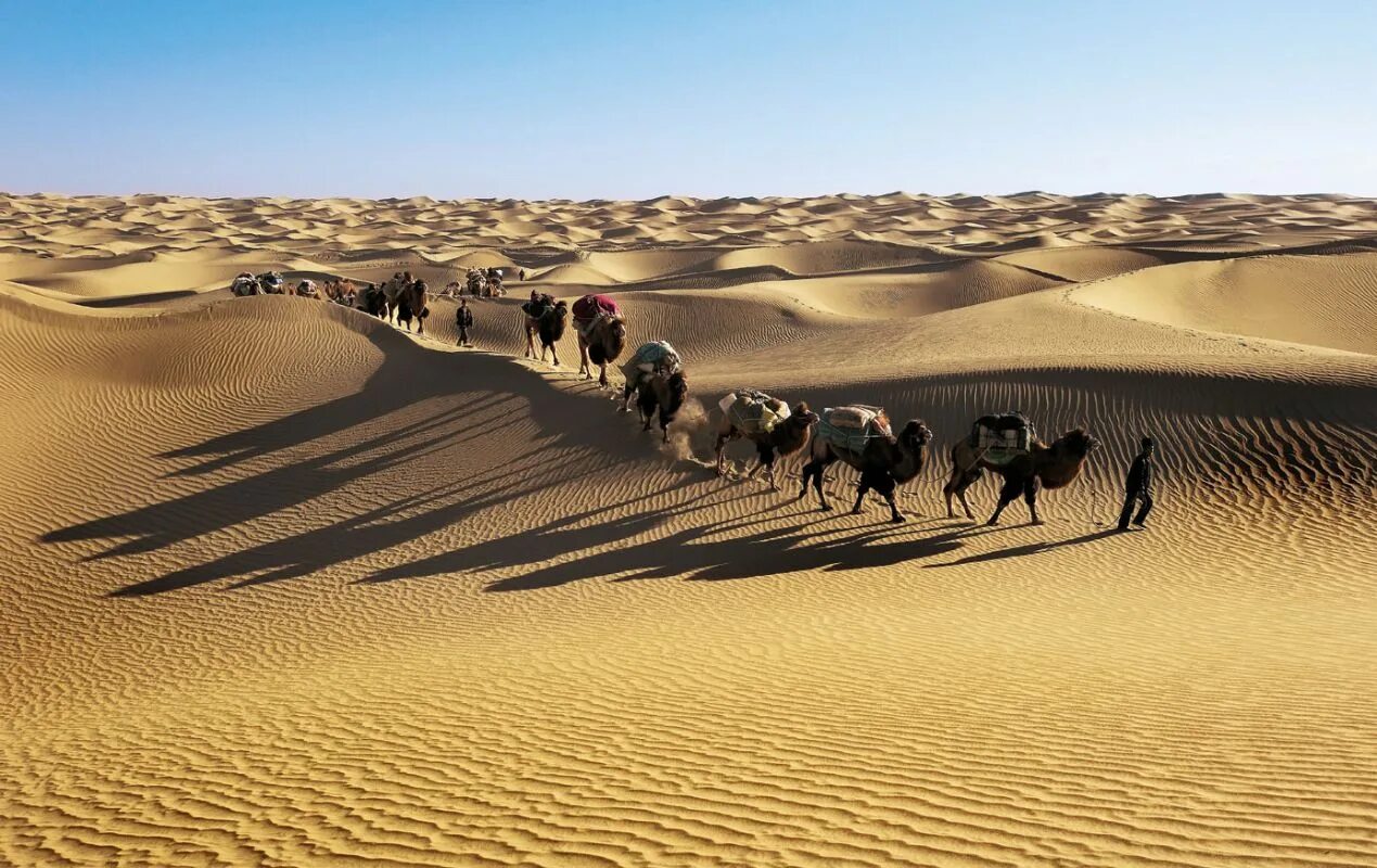 Занятия людей в пустыне. Пустыни Такла-Макан. Караван в пустыне Каракум. Такла Мебар. Опустынивание в Саудовской Аравии.