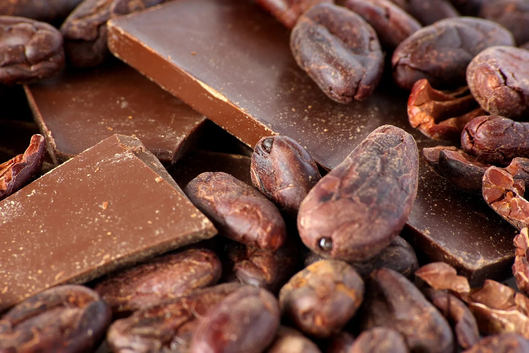 Шел шоколад. Шоколад какао Бобы. Ацтеки и шоколад. Какао шоколад. Какао шоколадные Бобы.