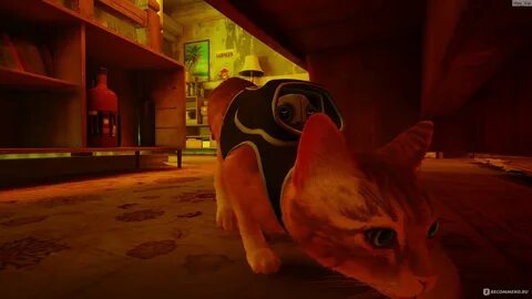 Кот gaming