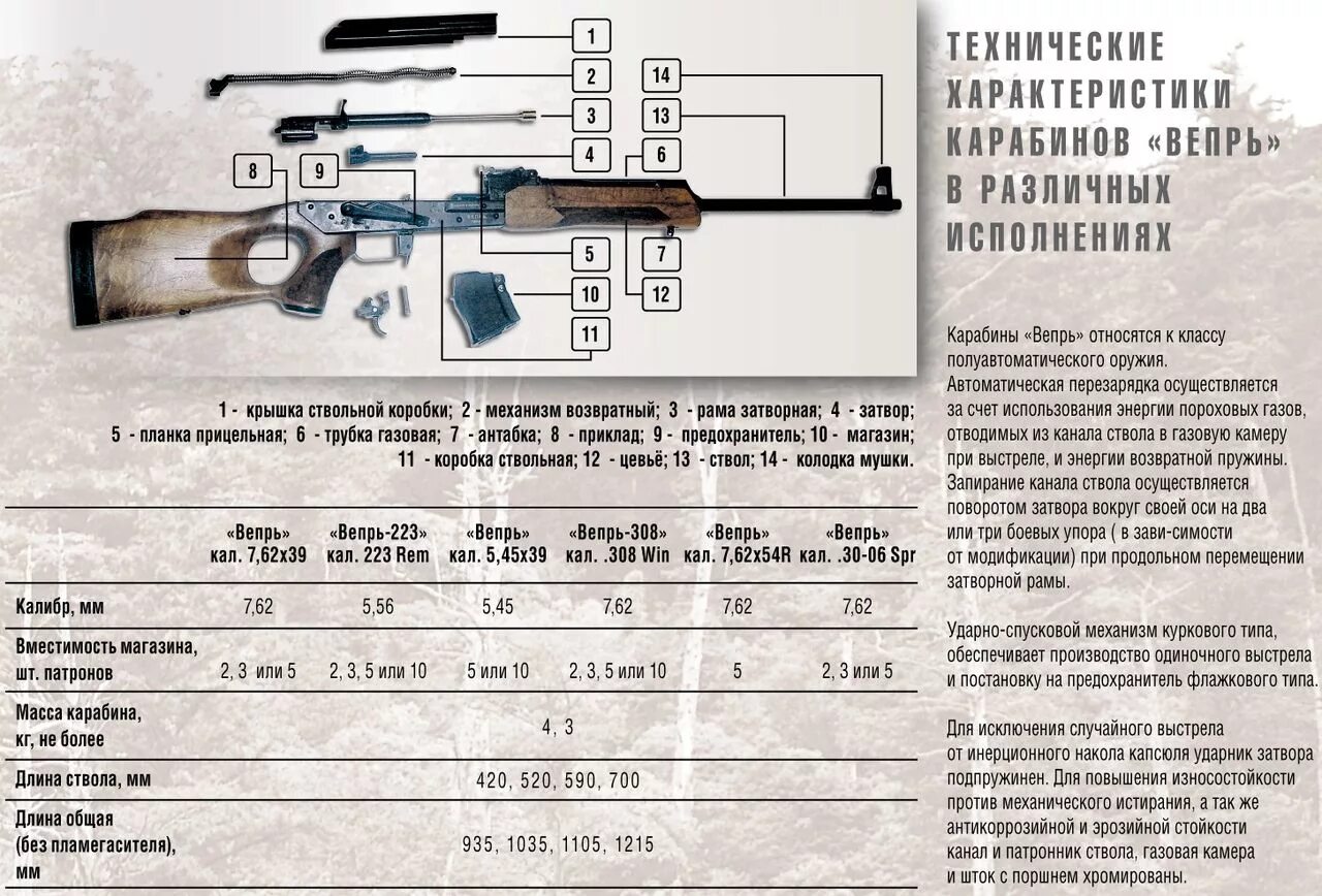 Ствол оружия закон
