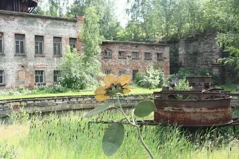 Форум н тагила