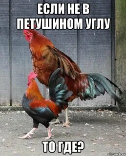 Сдавленный петушиный крик на вдохе