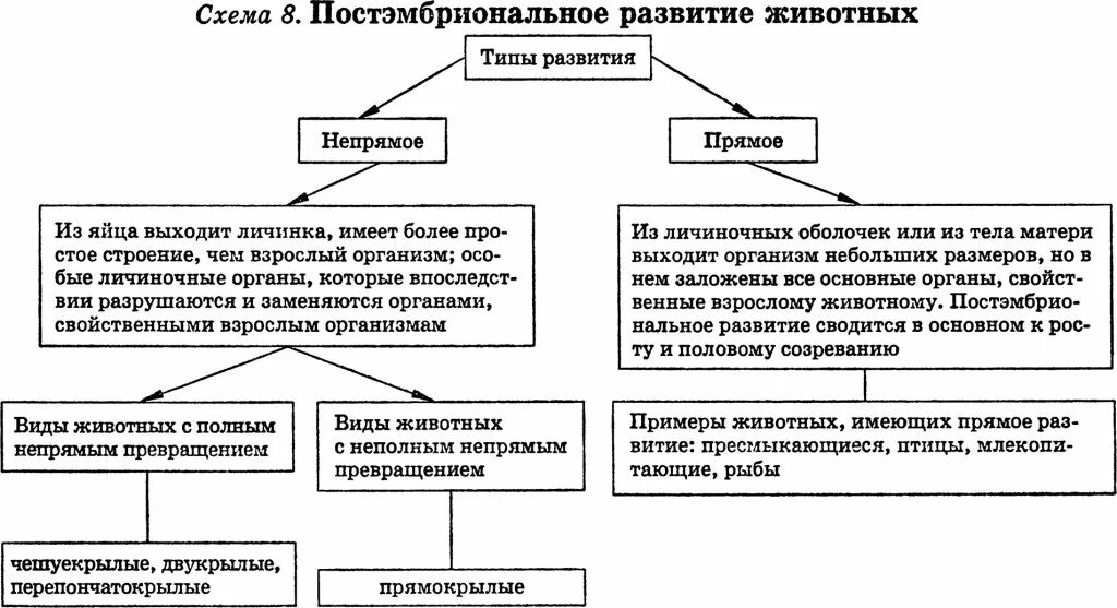 Какой тип постэмбрионального. Типы постэмбрионального развития схема. схема прямого постэмбрионального развития. постэмбриональное развитие прямое и непрямое. типы постэмбрионального развития животных.
