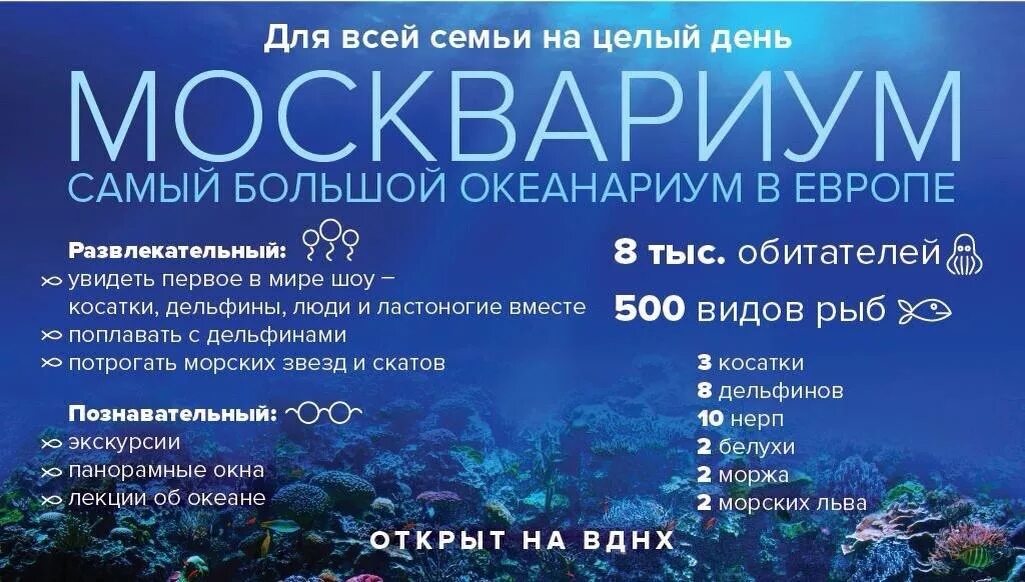 Москвариум расписание сегодня. Москвариум. Океанариум ВДНХ. Билет в океанариум. Расписание океанариума на ВДНХ.