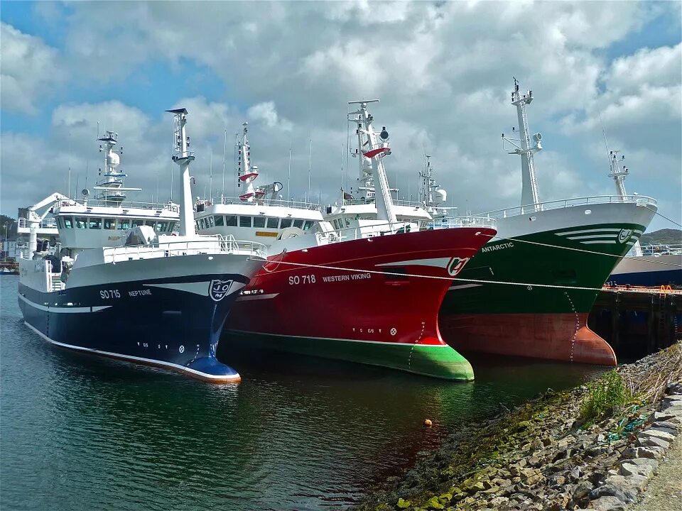 Star shipping. Cscl цвет. Errv vessel. Star shipping. Дубай логистик сити.