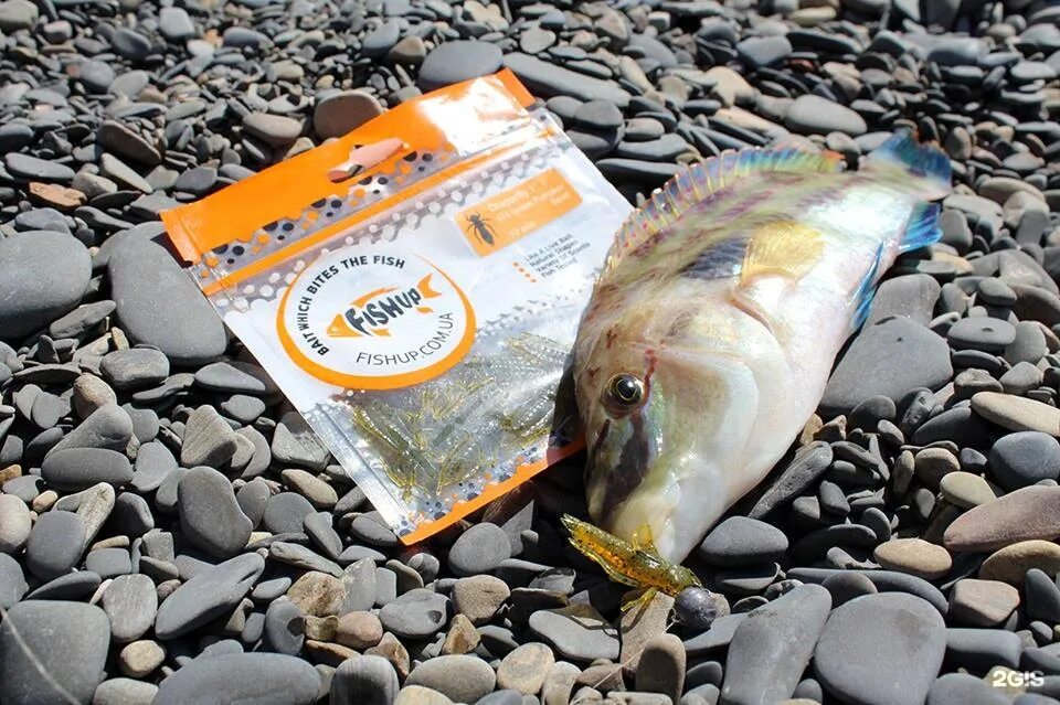 фирменный рыбный магазин. хвост скумбрии. мульти фиш рыболовный интернет магазин. фиш хом. Fish интернет.