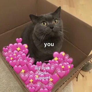Love and support