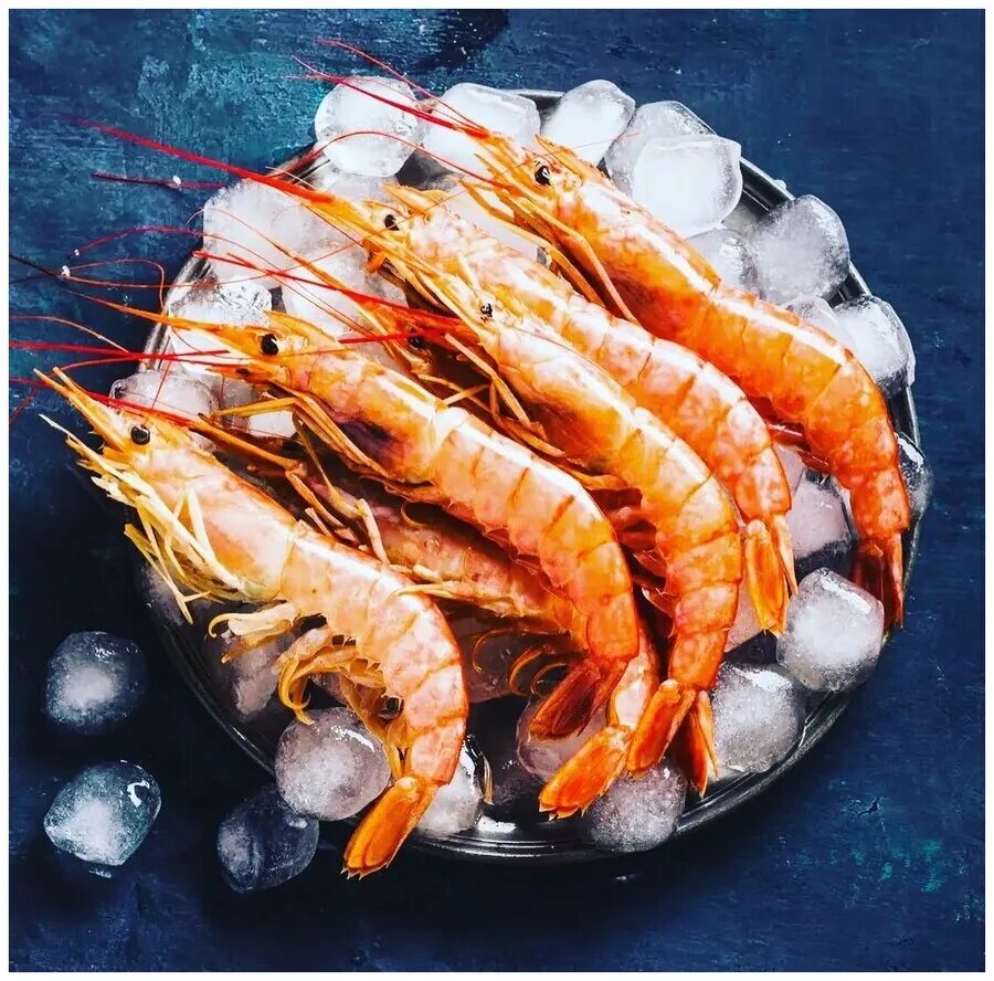 Креветка аргентинская лангустины. Лангустины и королевские креветки. Что такое лангустины. Креветки l1 лангустины. Лангустины 10/20 l1 с/м 2кг аргентина.