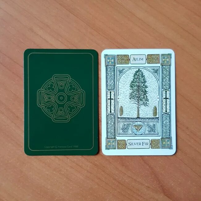 Оракул деревьев. Оракул деревьев