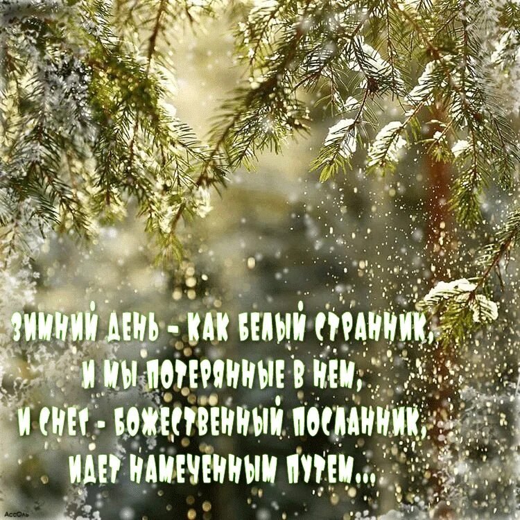 Православного зимнего доброго утра. Доброе зимнее утро. С добрым зимним утром с пожеланиями мудрыми. Душевного зимнего утра и доброго дня. Хорошего зимнего дня.