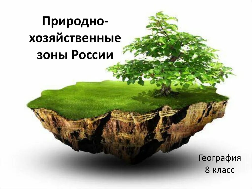 Почвы 6 кл. Почва. география почв. почва география 6. почвы 6 класс.