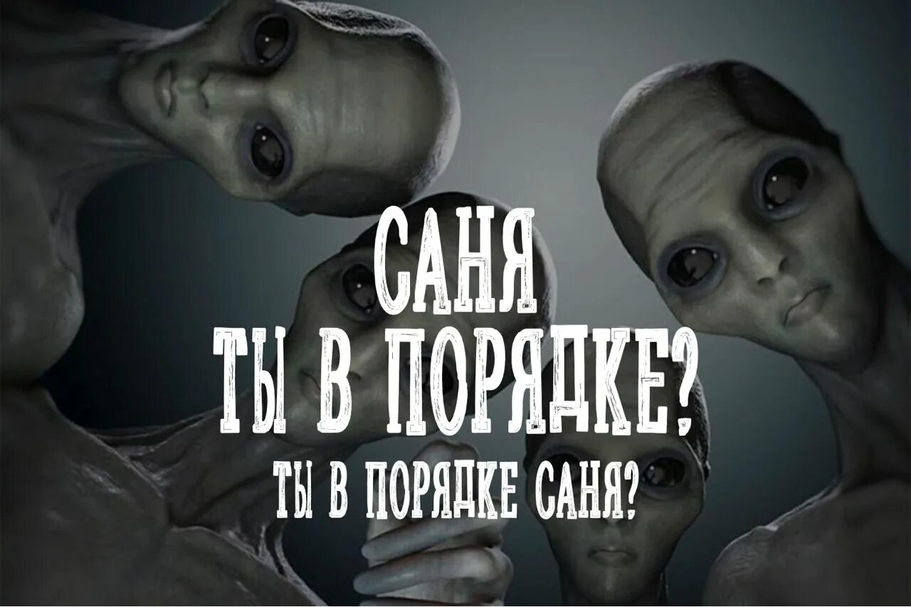 Саня ты в порядке песня 10 часов. Футболка саня ты в порядке. Саня ты впорядке. Саня ты в порядке ты в порядке саня. Саня ты впорядке.