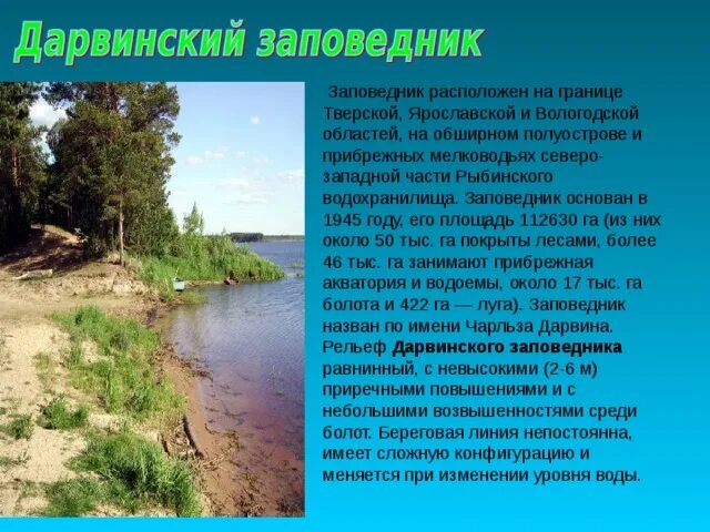 Дарвиновский заповедник Ярославская область. Заповедники Вологодской области. Дарвиновский заповедник в Вологодской области. Заповедники Ярославской области.