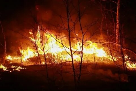 Пожары в забайкальском
