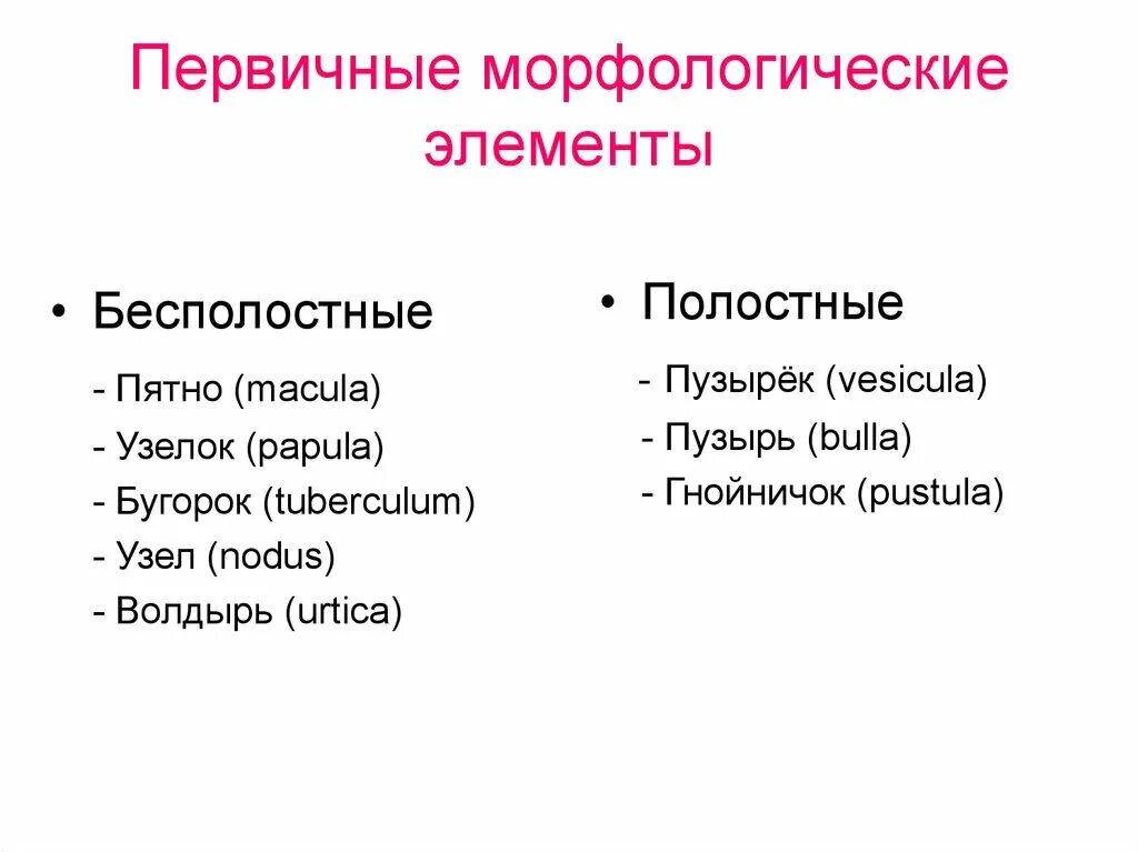 Морфологический заботилась. Первичный полостной морфологический элемент сыпи. Первичный бесполостной морфологический элемент. К полостным первичным морфологическим элементам сыпи относятся. Первичные элементы сыпи полостные.