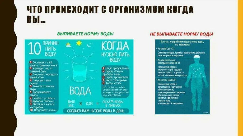 Что происходит с человеком на 9 день. Вода в организме. Сколько нужно пить воды. Количество воды в организме. Норма воды в день.