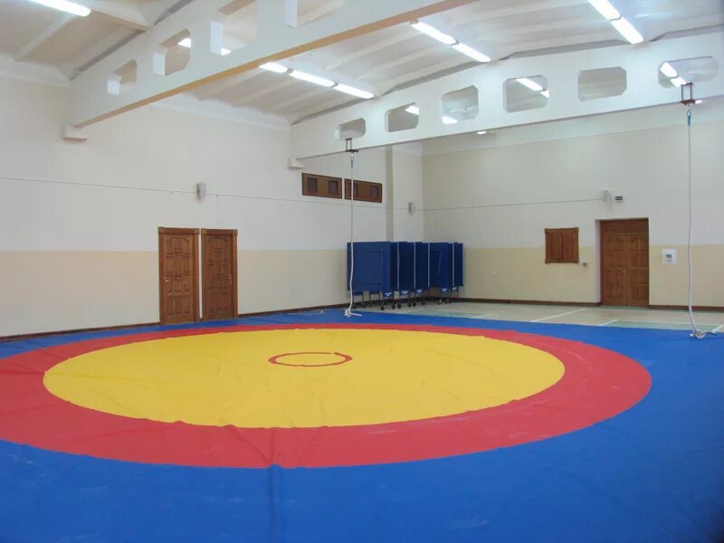 Дворец самбо угмк. Дворец самбо верхняя пышма. Самбо. Поле самбо. Поле самбо.