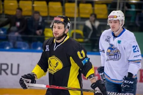 Сарыарка номад