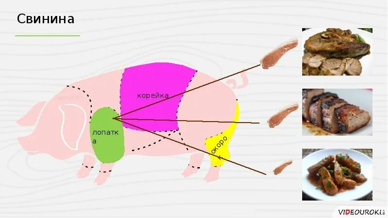 Карбонат какая часть свинины. Корейка часть свинины. Где корейка у свинины. Корейка свинина схема. Корейка свиная расположение.