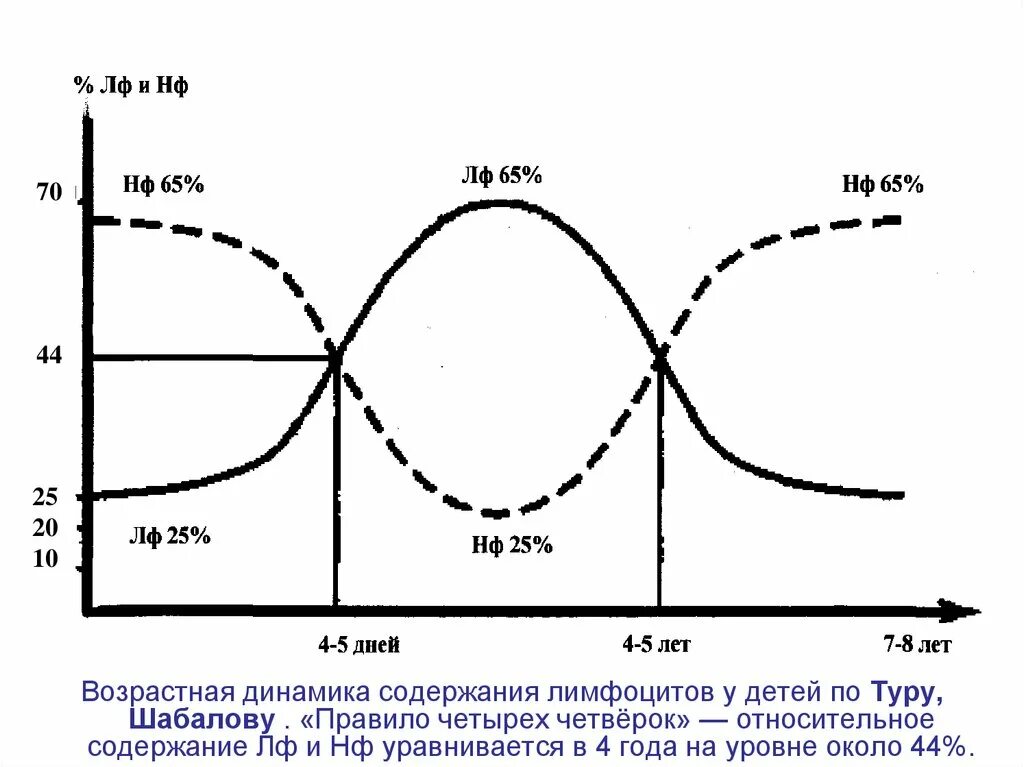 Перекрест лейкоцитарной формулы возраст. 1 и 2 перекрест лейкоцитарной формулы. перекрест лейкоцитарной формулы у детей возраст. первый перекрест в лейкоцитарной формуле. физиологический перекрест в лейкоцитарной формуле у ребенка.