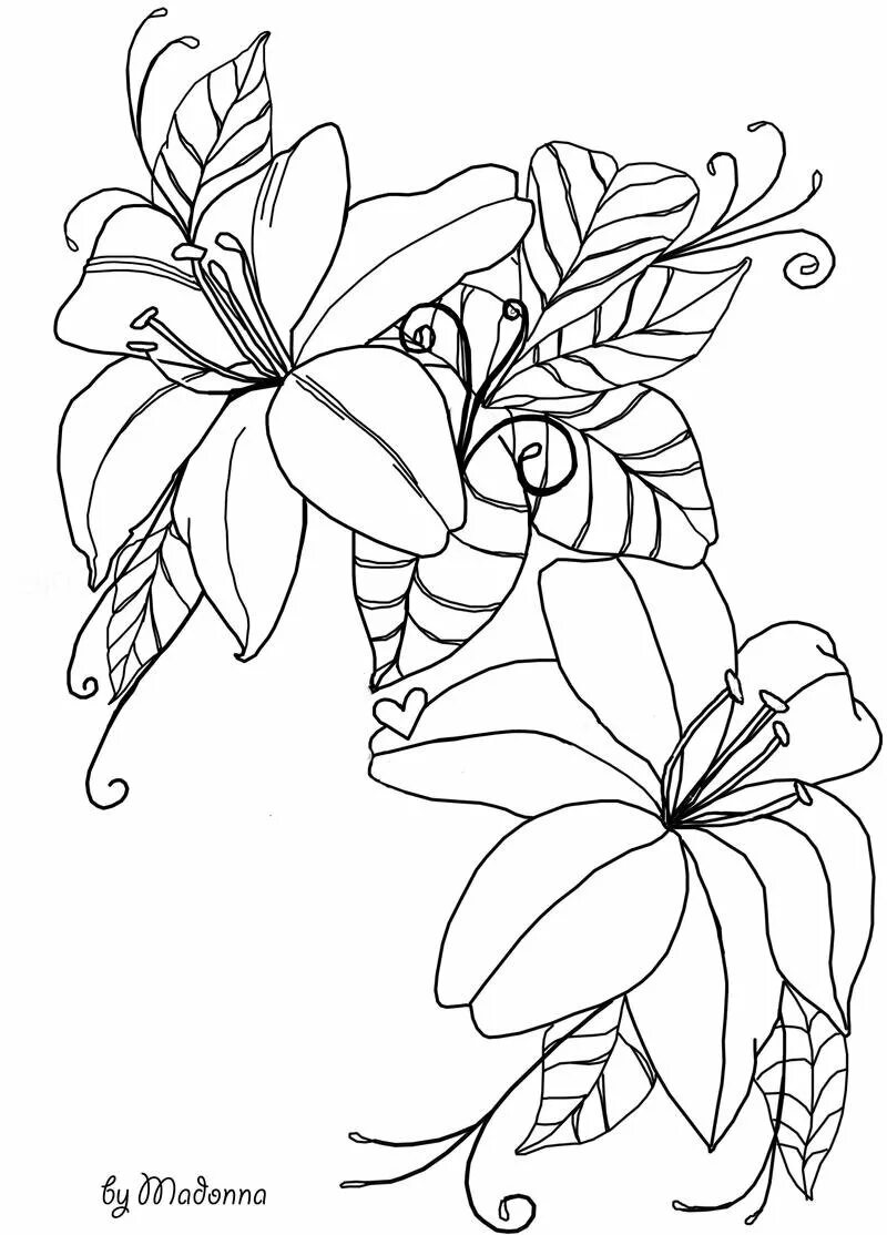 Outline sketching