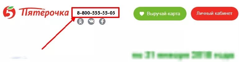 Телефон бухгалтерии пятерочки. Горячая линия Пятерочки. Горячая линия Пятерочки выручай-карта. Номер телефона горячей линии Пятерочка. Горячая линия магазина Пятерочка.