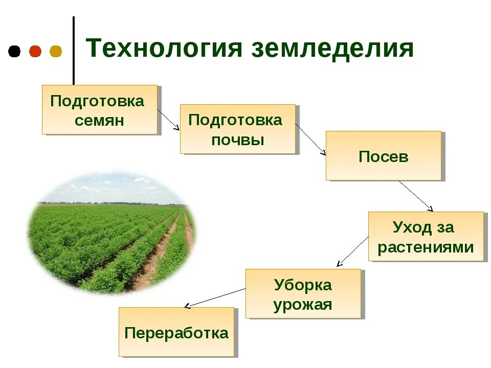 Сельскохозяйственные технологии 5 класс. Земледелие схема 3 класс окружающий мир. Схема земледелие окружающий мир 3. Технологии земледелия. Основные типы земледелия.