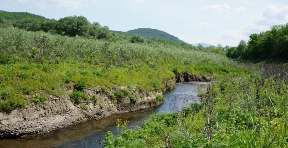 Река жала. Речка альма в крыму. альма (река). вилино.альма.река..