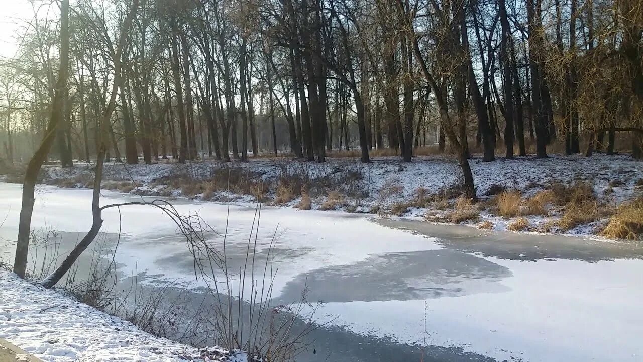 Наши баташи тула. Жк наши баташи тула. наши баташи ход строительства. наши баташи фото.