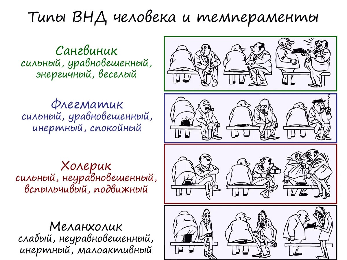 Решу нгэ. Типы личности флегматик сангвиник. Холерик меланхолик сангвиник флегматик типы ВНД. Биология флегматик сангвиник холерик. Холерик сангвиник флегматик меланхолик таблица биология.