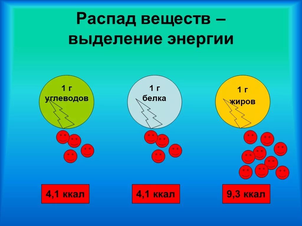 Распад веществ это