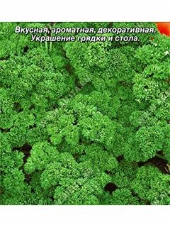 Петрушка томск