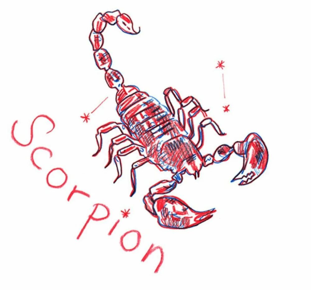 Тату скорпион зодиак. Скорпион вектор. Скорпион шуточный гороскоп. Скорпион. Персонажи знака зодиака скорпион.