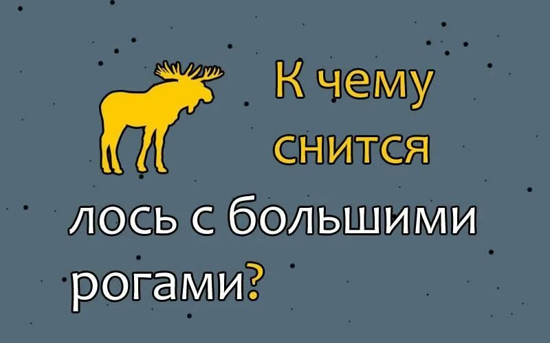 Сон Лось с рогами. К чему снится Лось с большими рогами. К чему снится лосенок. Приснился огромный Лось с рогами. К чему снится лось с рогами