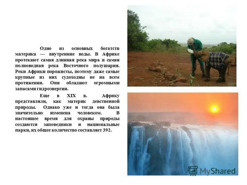 Конго площадь бассейна реки конга. Самая полноводная река африки. Самая полноводная река африки нил. Бассейн реки конго. География республики конго.