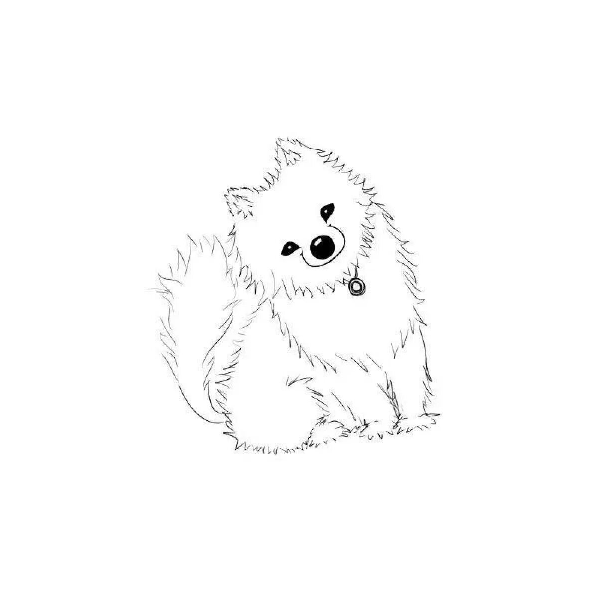 Померанский шпиц и овчарка. Померанский шпиц раскраска. Раскраска собачка померанский шпиц. Померанский шпиц чёрно белый. Раскраска собака померанский шпиц.