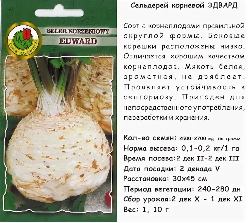 Сельдерей детям с какого возраста. Сельдерей черешковый стебель калорийность. Характеристика сельдерея. Сельдерей черешковый килокалории. Сельдерей зелень, 200г.