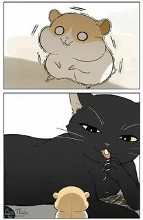 Кот и хомяк манга