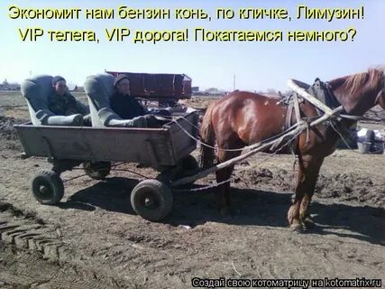 Почему не работает телега сегодня