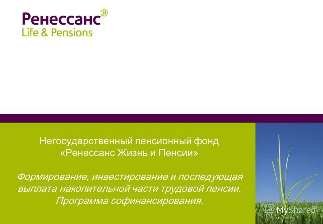 нпф ренессанс пенсии официальный. договор об обязательном пенсионном страховании. ренессанс пенсии личный кабинет. ренессанс жизнь и пенсии. негосударственный пенсионный фонд ренессанс.