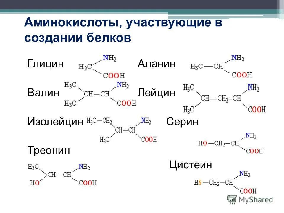 Для чего нужен лейцин. Для чего нужен лейцин