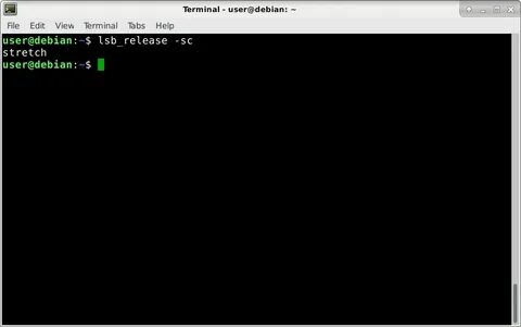 Start terminal